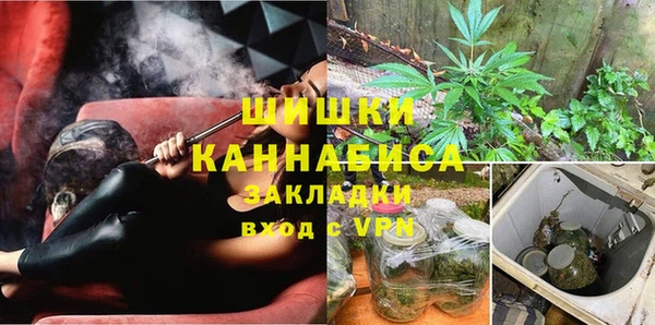 PSILOCYBIN Богданович