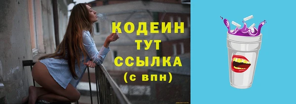 PSILOCYBIN Богданович