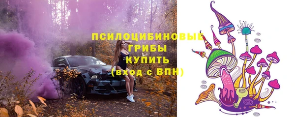 гашик Богородицк