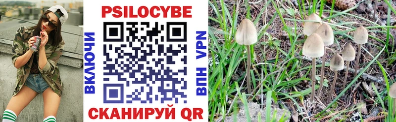 Галлюциногенные грибы MAGIC MUSHROOMS  Железноводск 